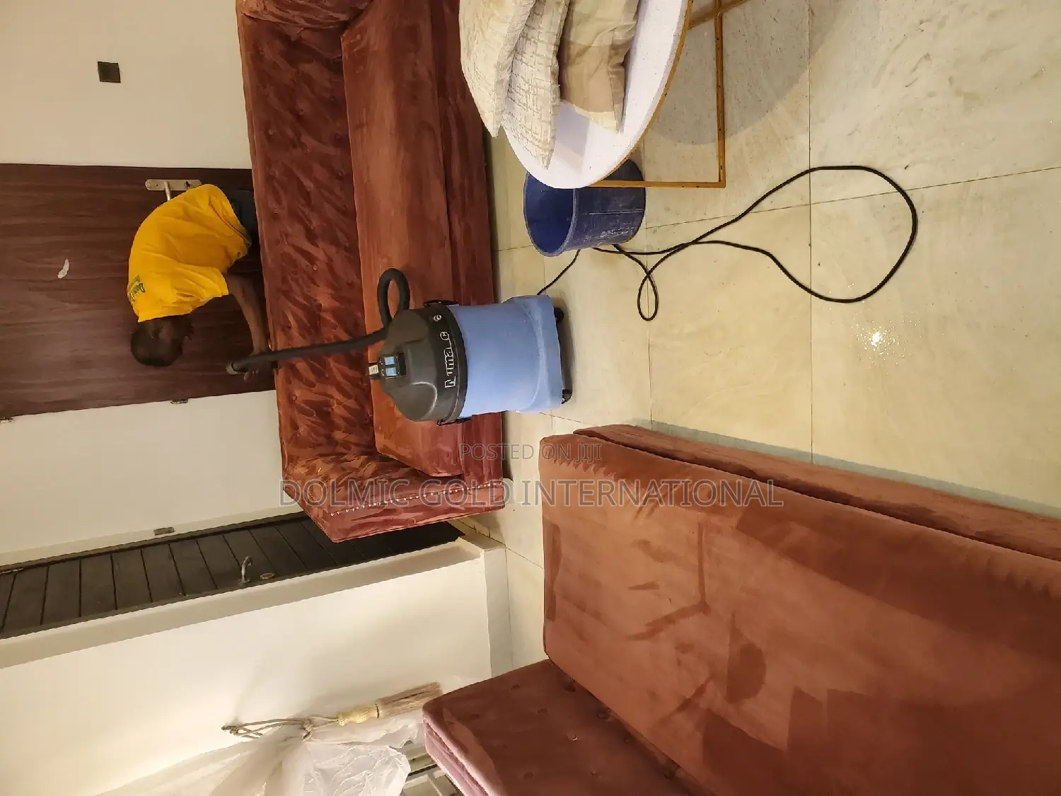 Upholstery/Sofa Cleaners