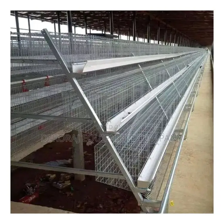 Unlocking Excellence: Super Cheap Imported 120 Layers Cage”