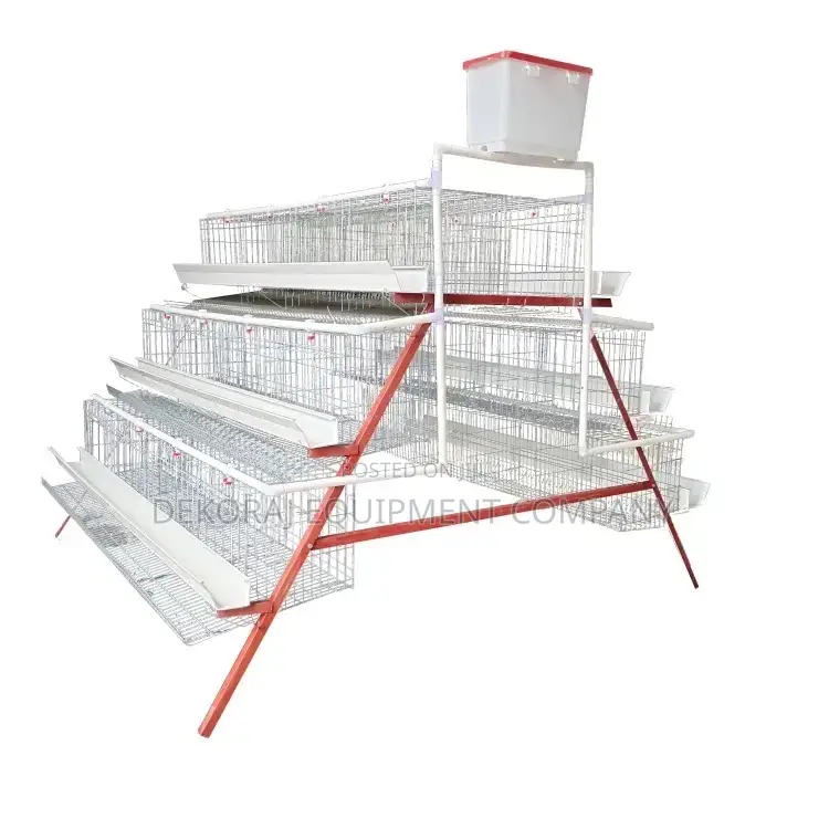 Budget-friendly Brilliance: 96-birds Imported Layers Cage”
