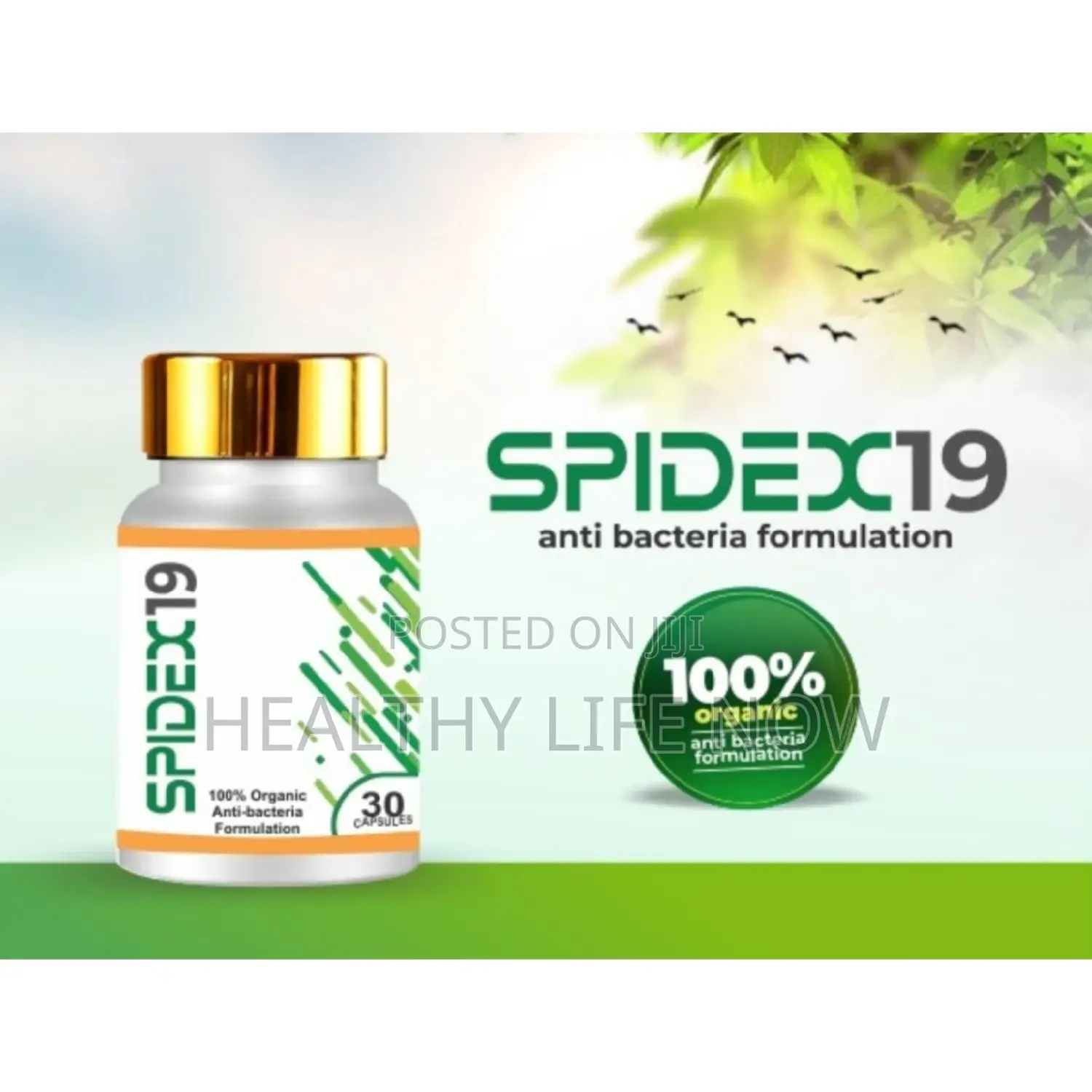 Spidex19 - Herbal Products for Healthy Lifestyle