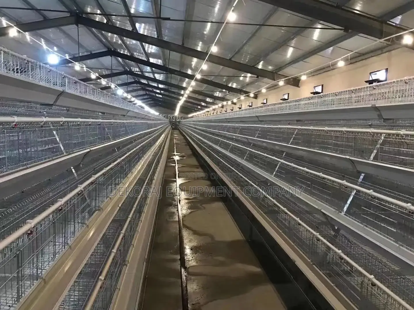 20yearsdiscover 96-Bird Super Imported Cages for Maximum ROI