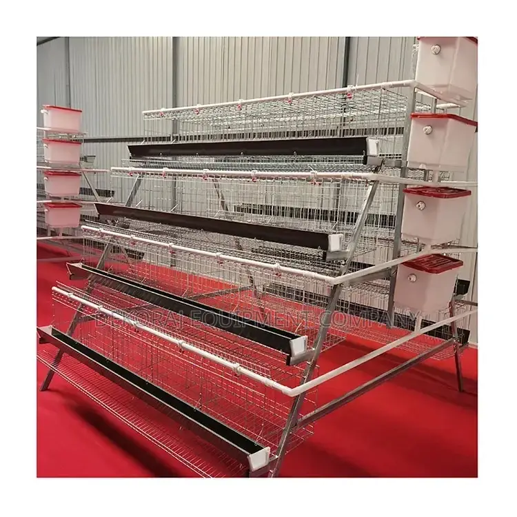 Upgrade Your Farm With 160-Birds Premium Imported Cages