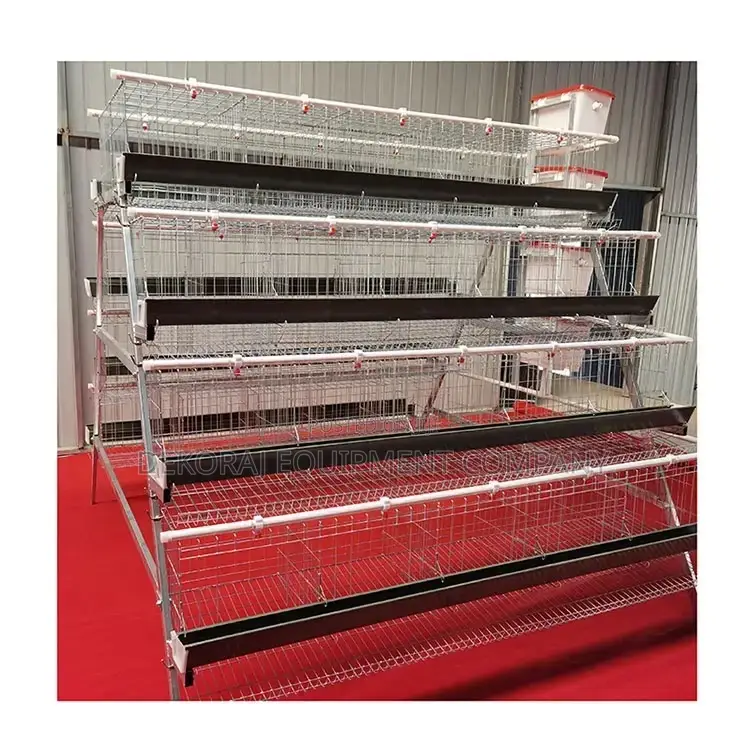 Boost Your Profits: 160-Bird Long-Lasting Imported Cages