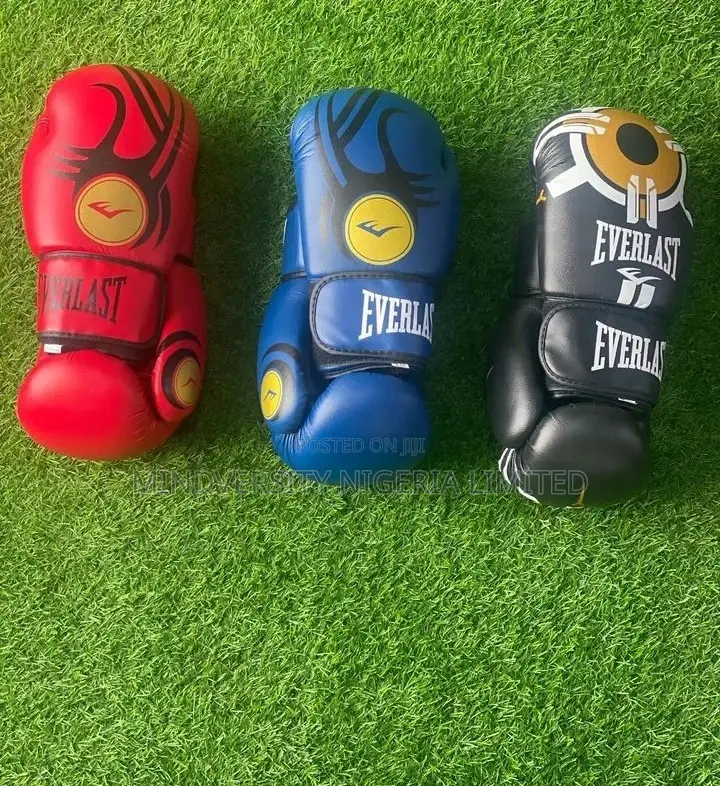 Everlast Boxing Gloves