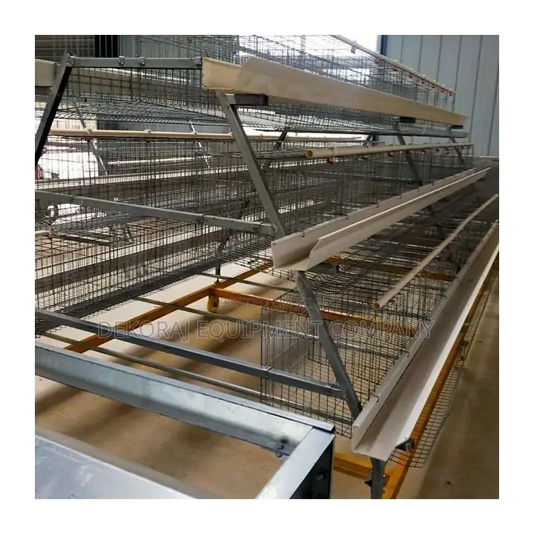 Game-Changing 120-Bird Imported Cages for Superior ROI