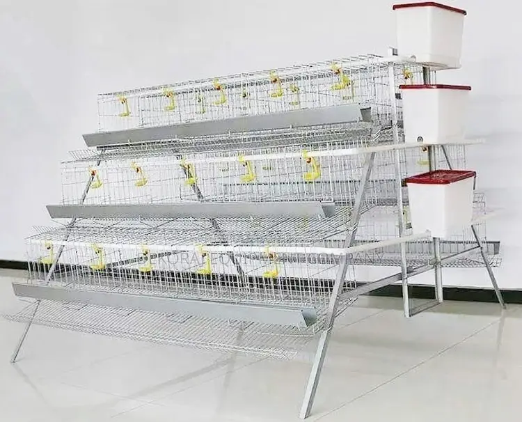 Invest Wisely: 96-Bird Cheap, Durable Imported Cages