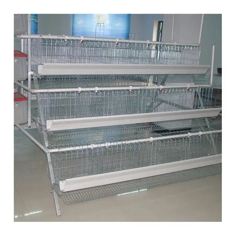 Unveil Success: 120-Bird Long-Lasting, High-Roi Cages
