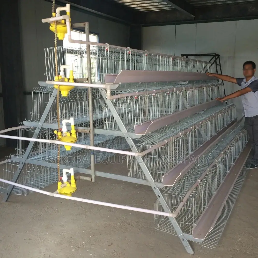 Budget Friendly 160 Birds Imported High Galvanized Cage