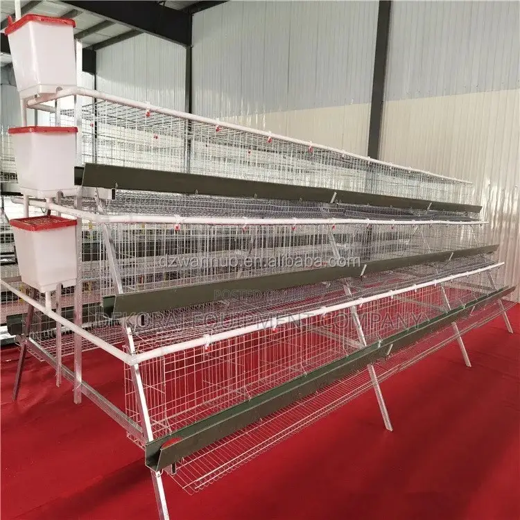 Nigeria’S Best Cage for Layer Farming(96 Capacity Imported