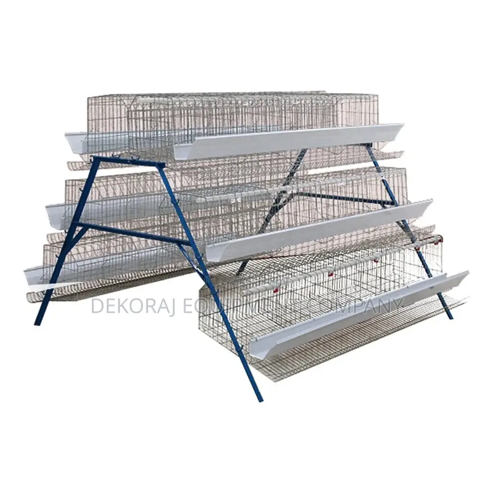 Best 96 Birds Imported Layers Cage: Unmatched Value