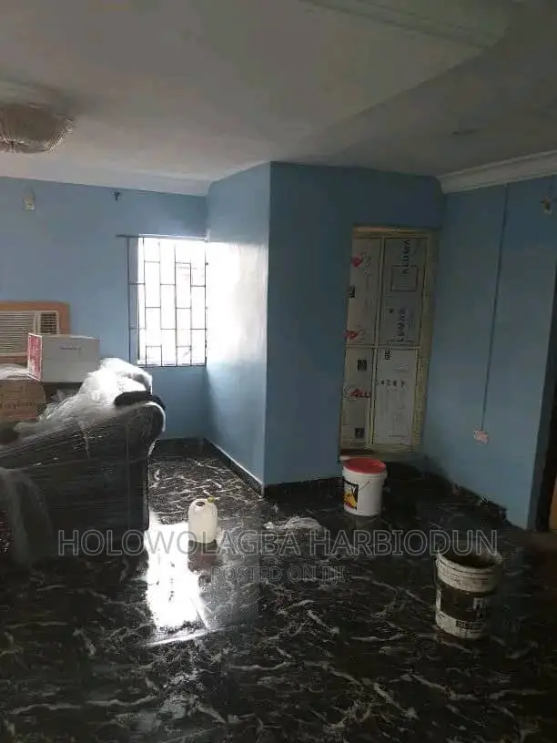 Professional and Domestic and Industrial Painting Services
