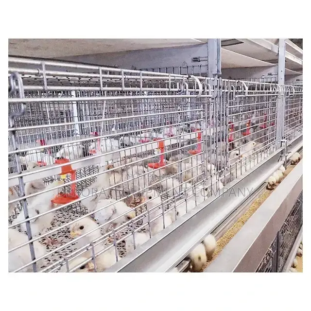 Imported 120 Broiler Cage :High Returns,Drinkers,Eggs