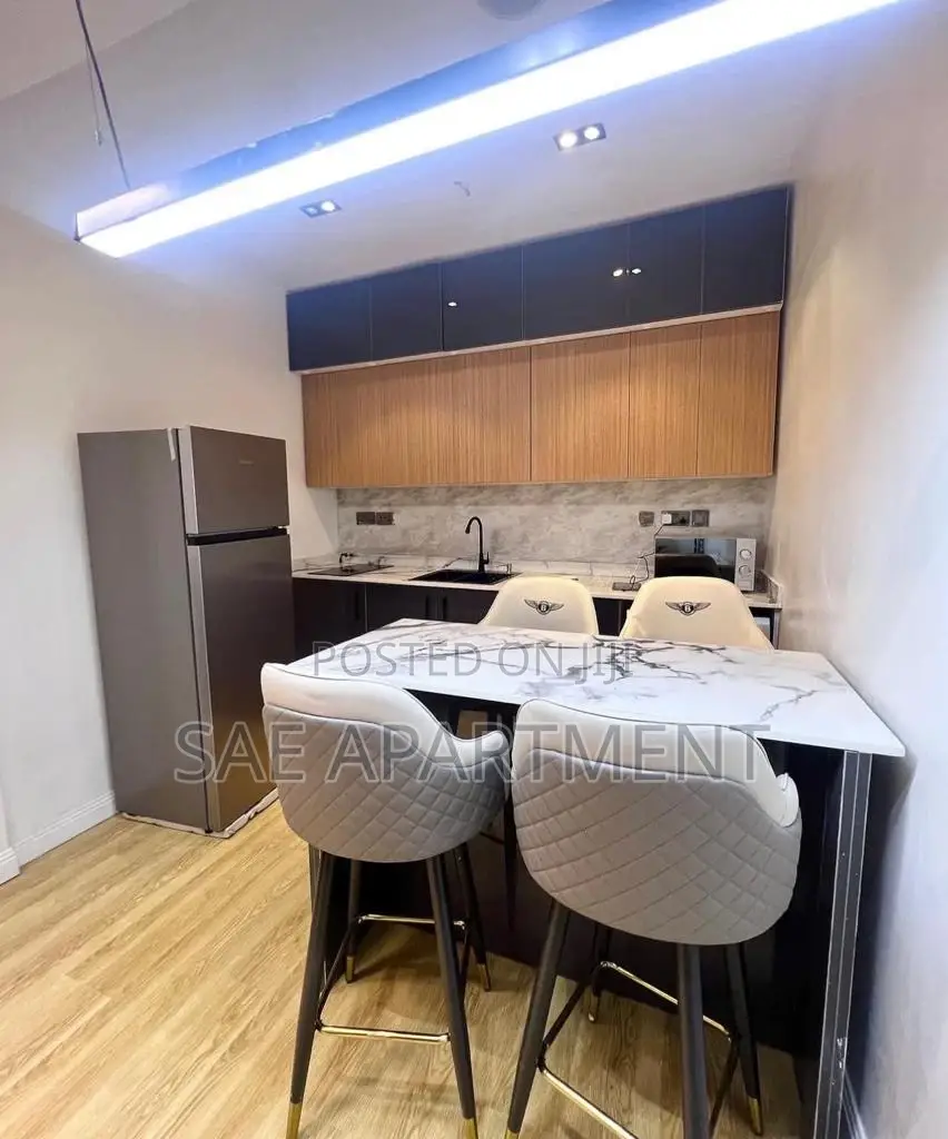 Exquisite One Bedroom Apartment- Maitama Abuja