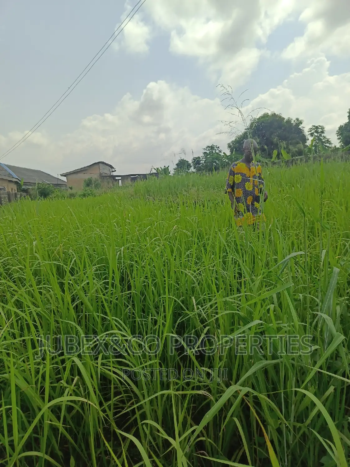A Plot of Land at Dbells for Sale