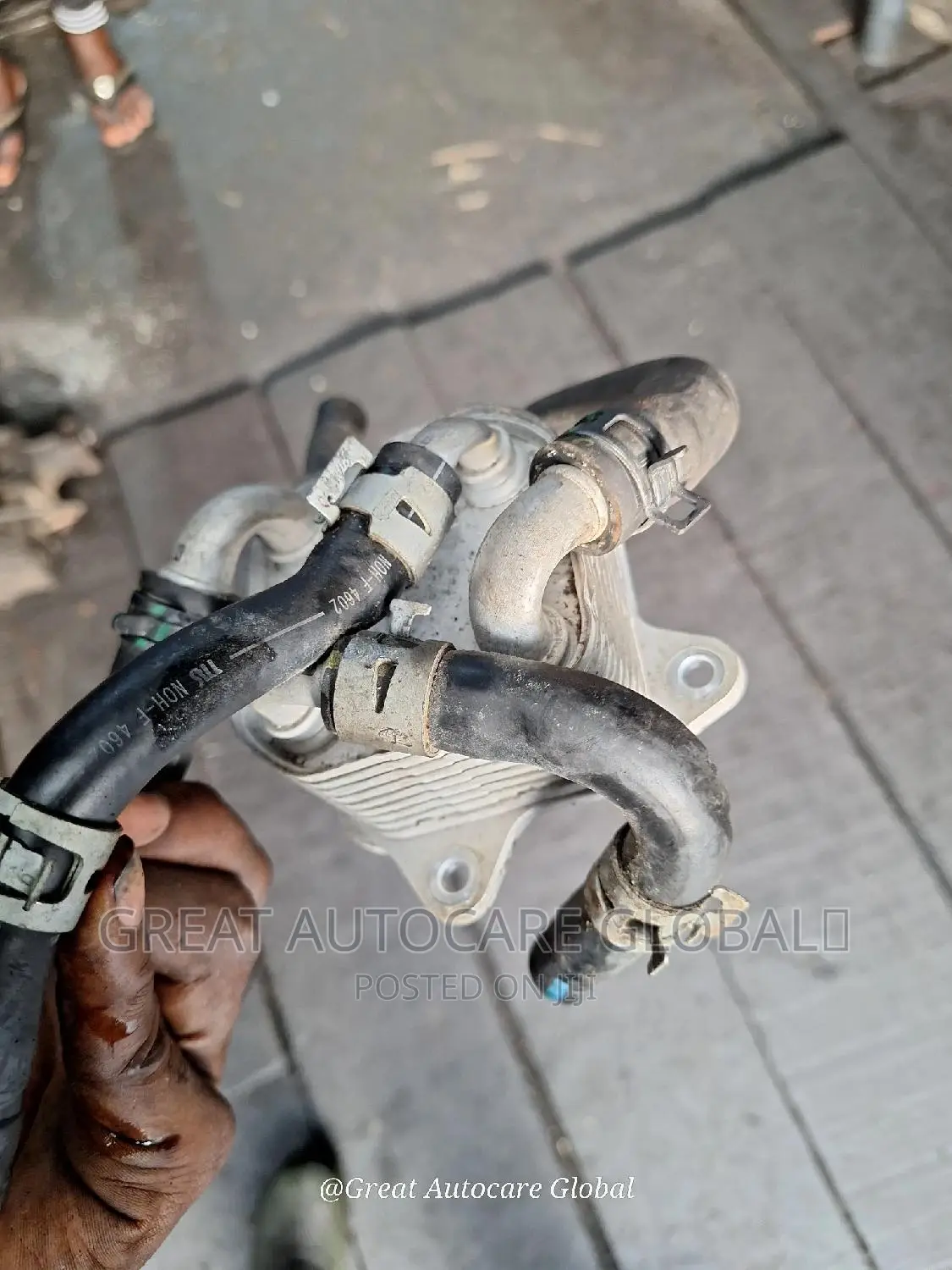 2013-2017 V6 Honda & Acura V6 Transmission/ Gearbox Coolant