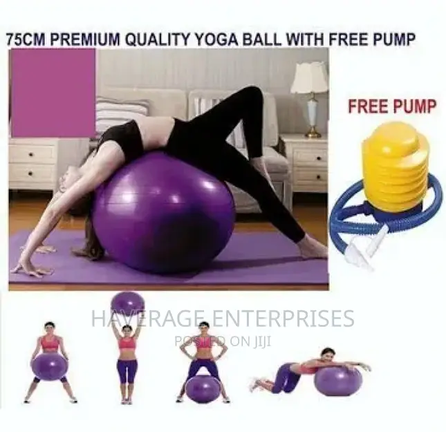 Standard Gym Balance Ball