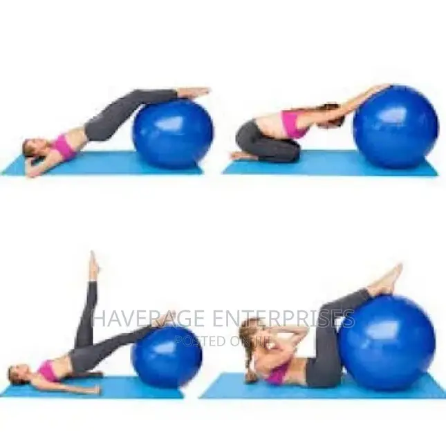 Standard Gym Balance Ball