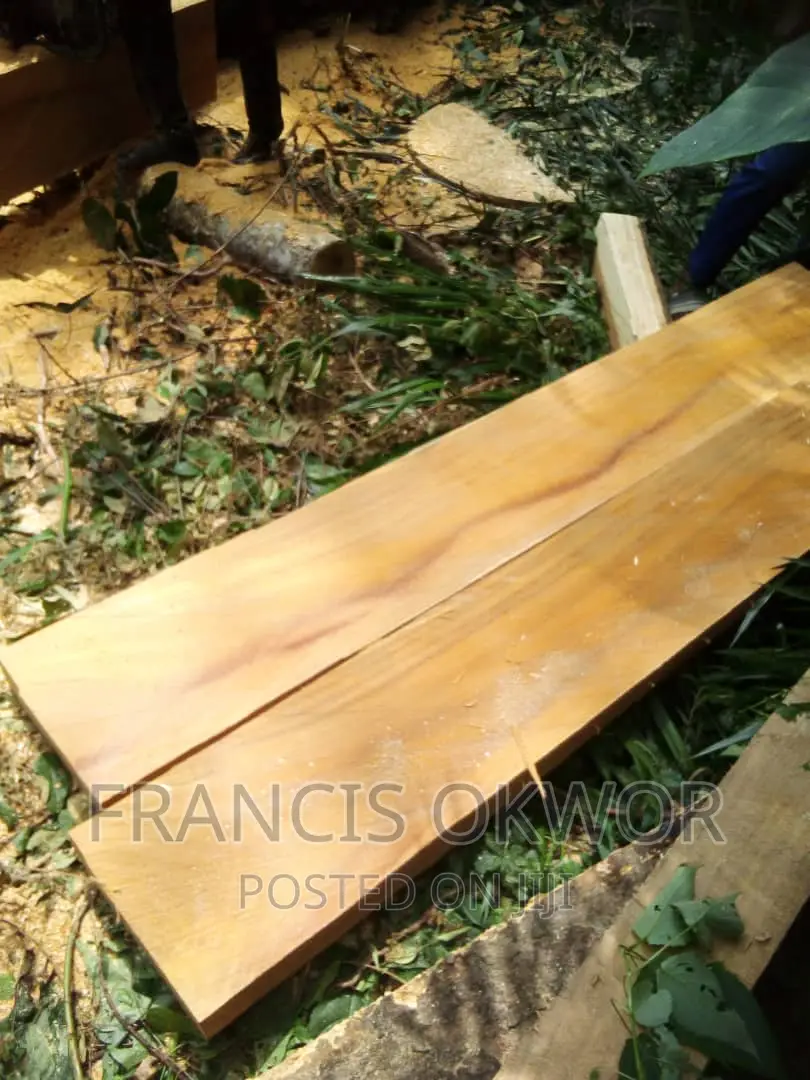 Iroko Timba Available