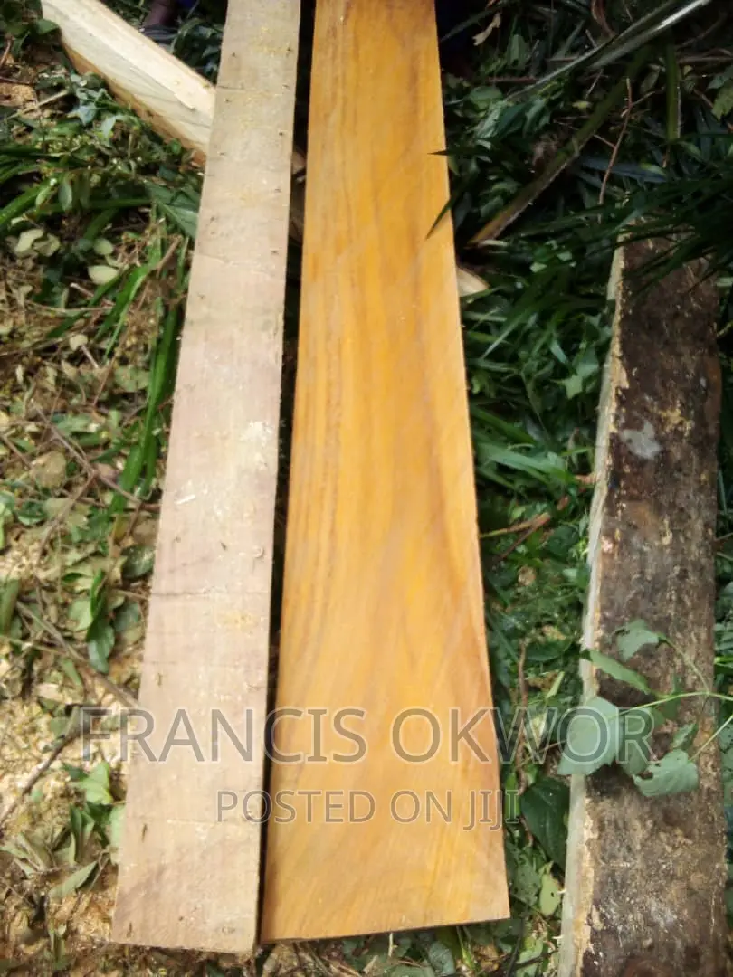 Iroko Timba Available