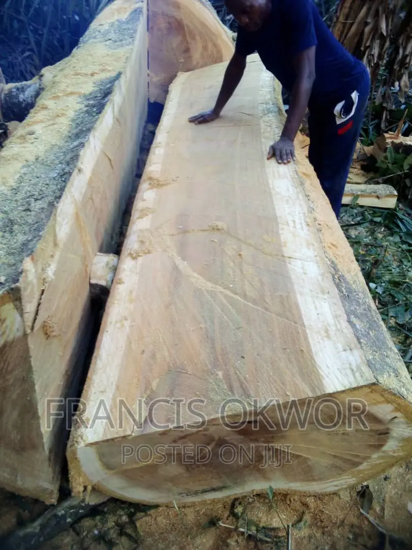 Iroko Timba Available