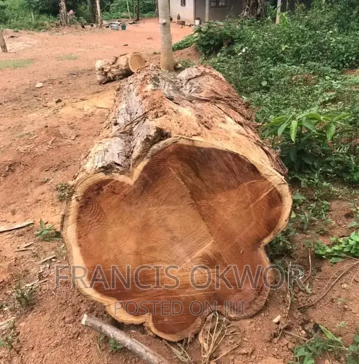 Teak Wood Available