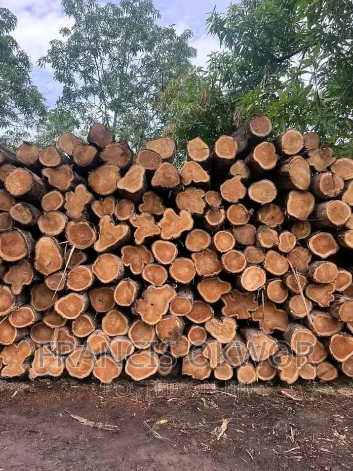 Teak Wood Available