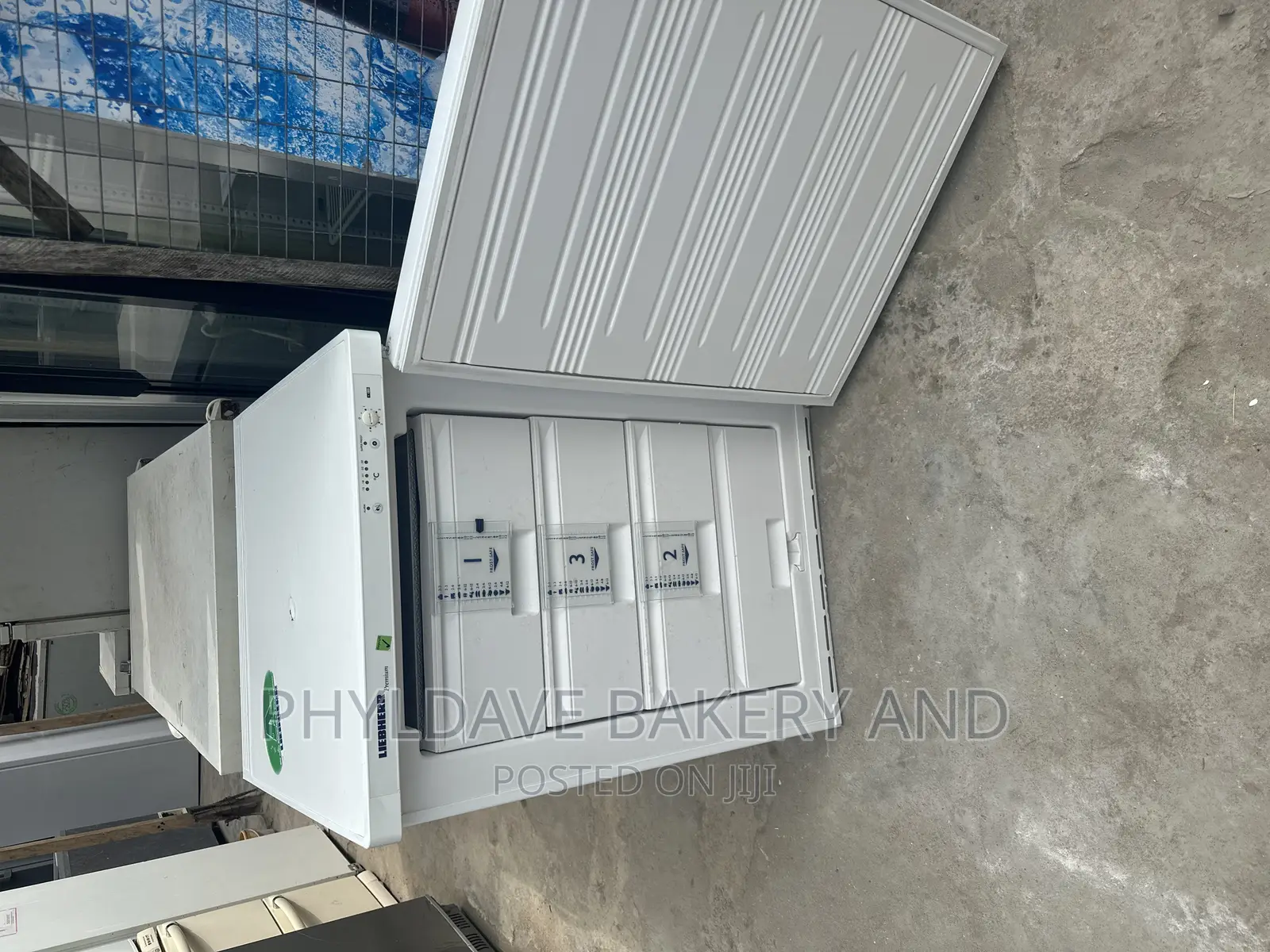 Liebher Premium Freezer Germany