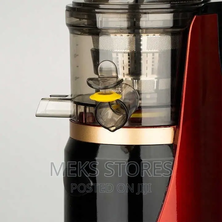 Raf Slow Juicer