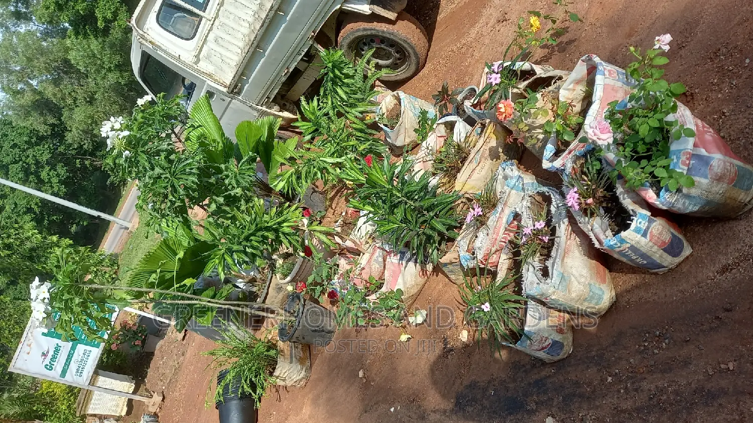 Plant Supplies