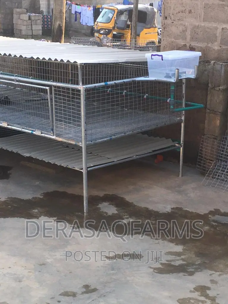Rabbit Cage