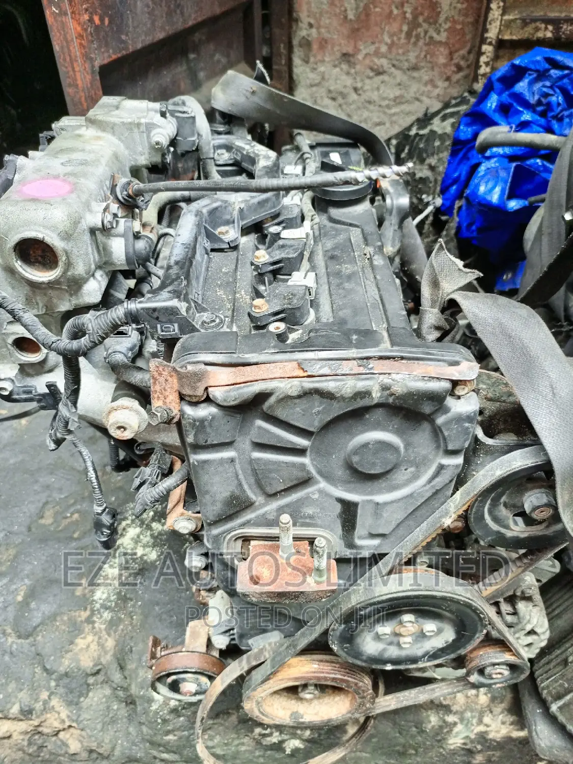 Kia Rio ,Kia Cerato, Hyundai Accent 2004