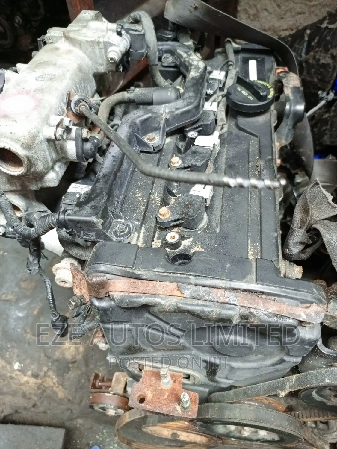 Kia Rio ,Kia Cerato, Hyundai Accent 2004