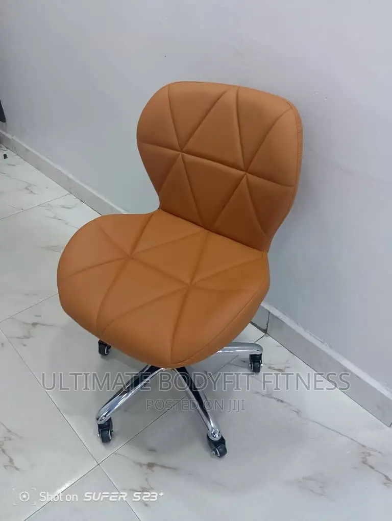 Brand New Spa Stool With Back Rest