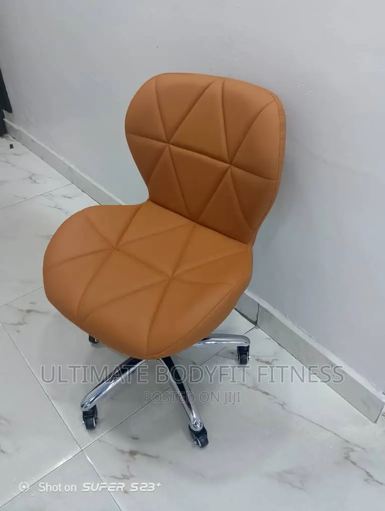 Brand New Spa Stool With Back Rest