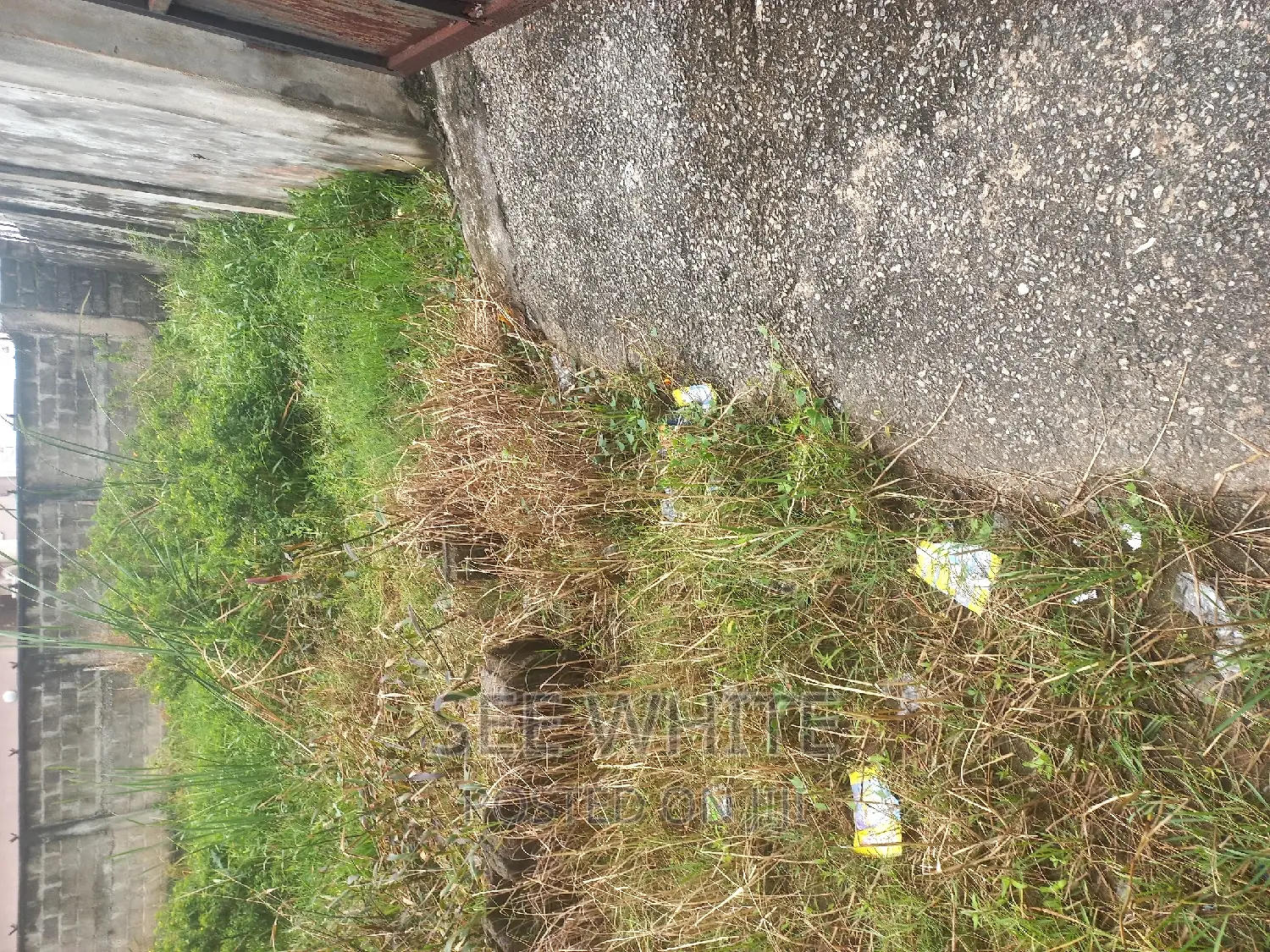 A Plot of Dry Land for Sale