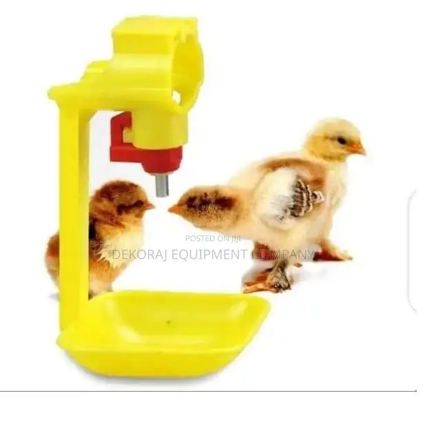 Birds Drinker for Birds
