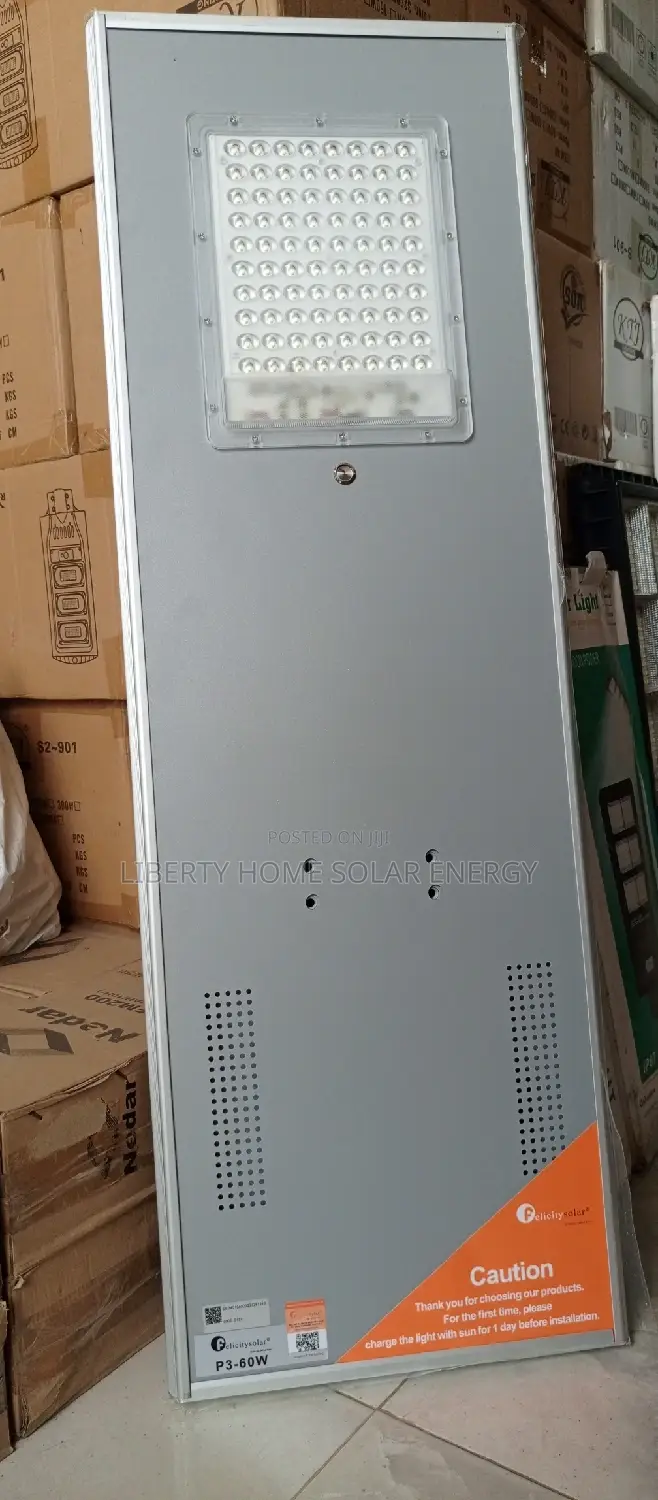 60w Felicity Solar Streetlight