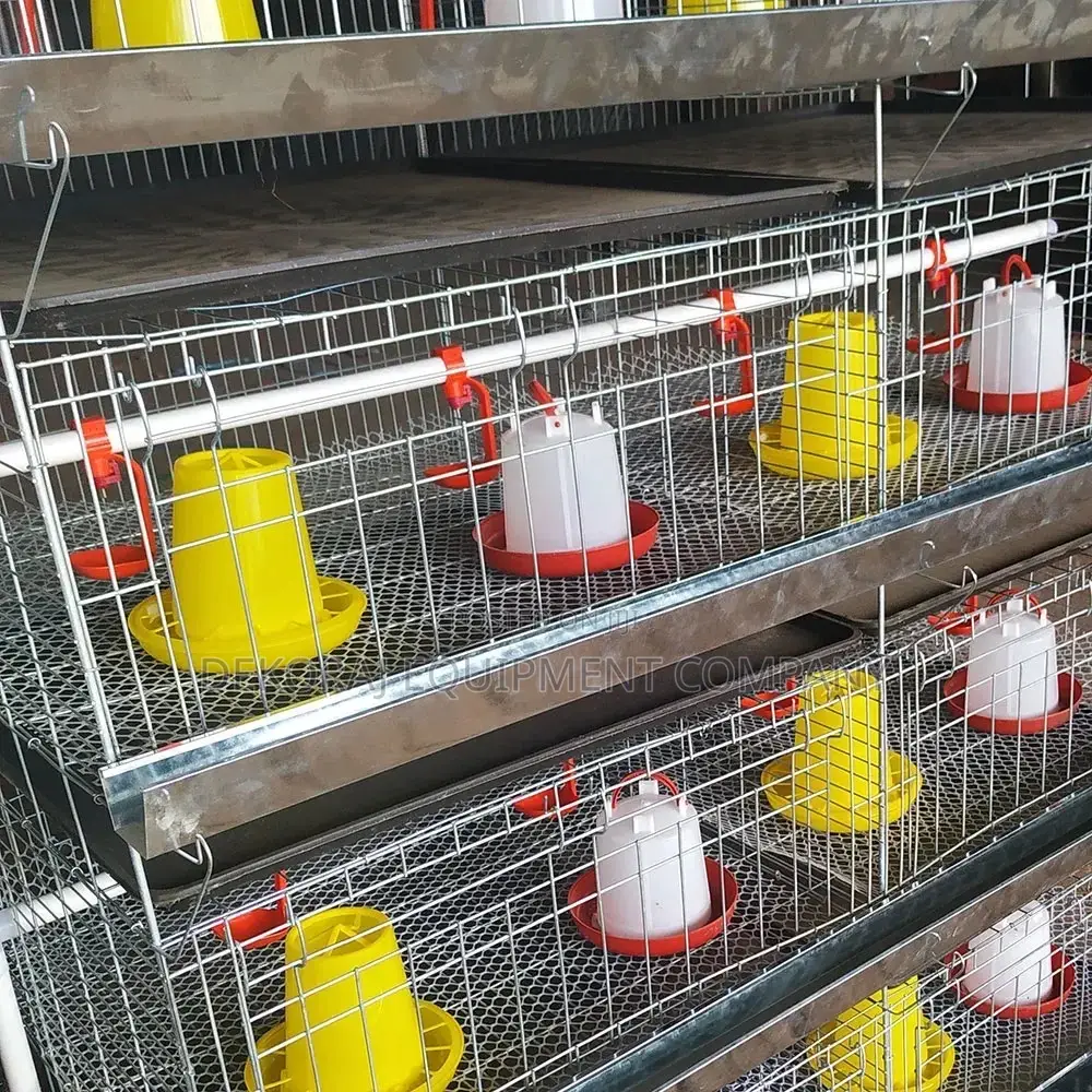 H Type Cage 120 Chicken Capacity Direct Importers