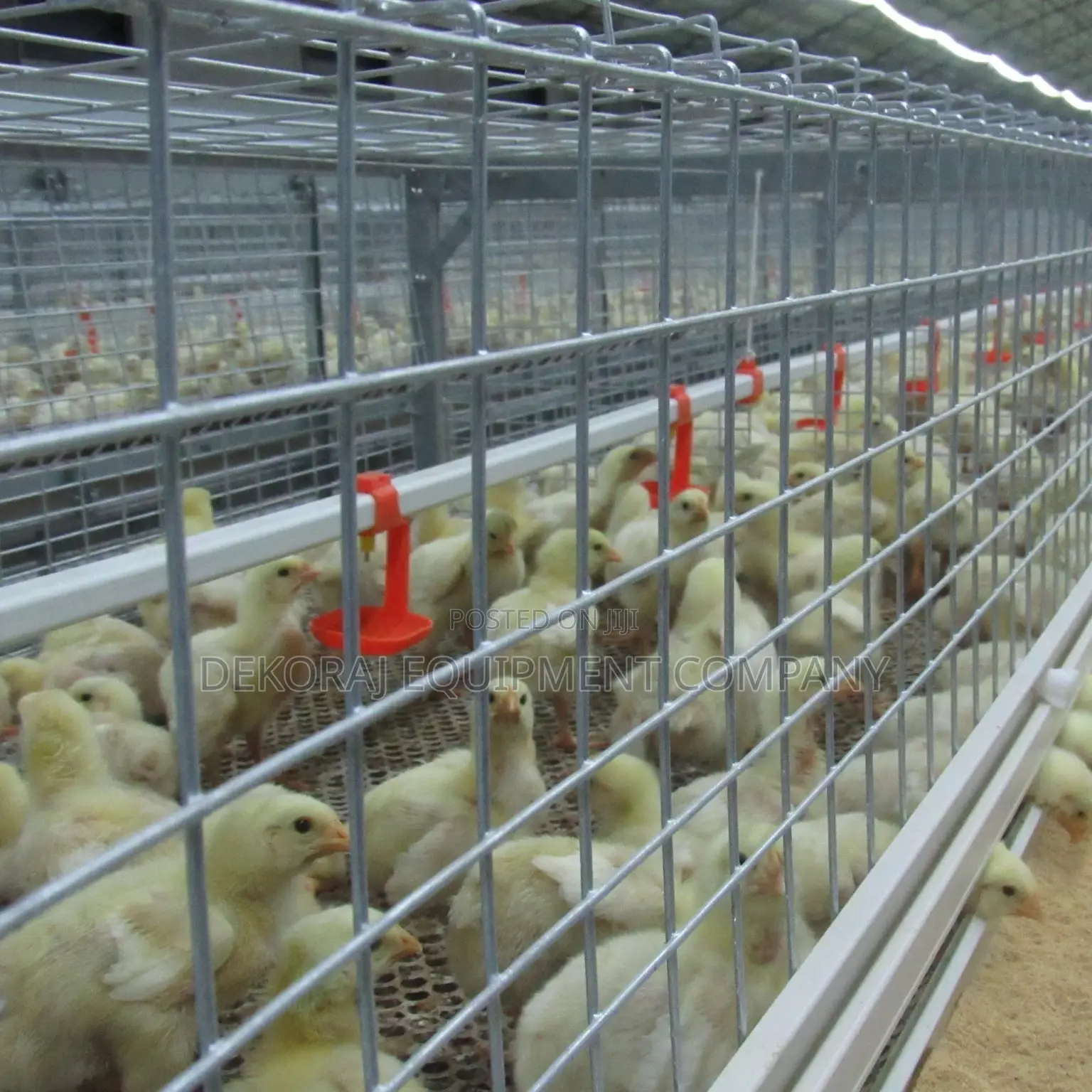 Fast Broiler Raising Imported Cage 120 Capacity