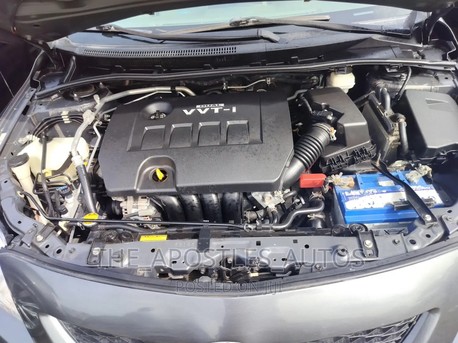 Toyota Corolla LE 4dr Sedan (1.8L 4cyl 4A) 2010 Gray