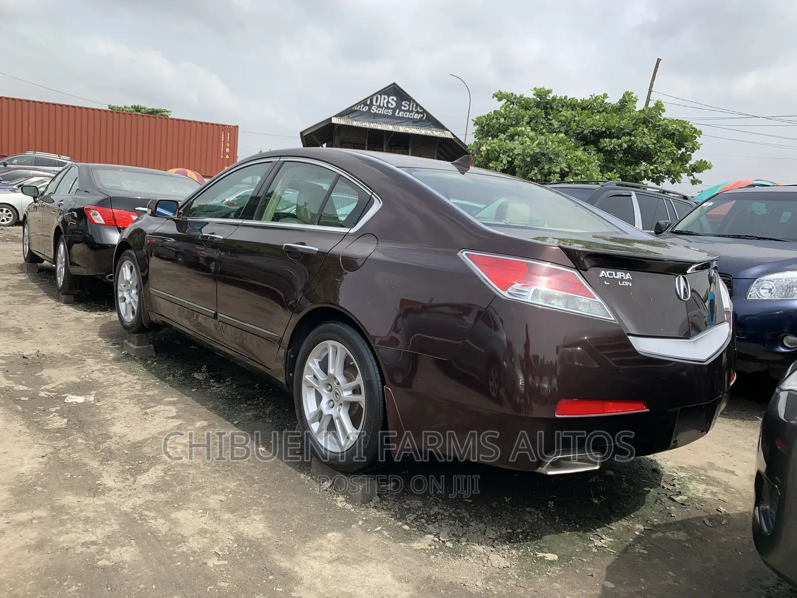 Acura TL SH-AWD 2010 Brown