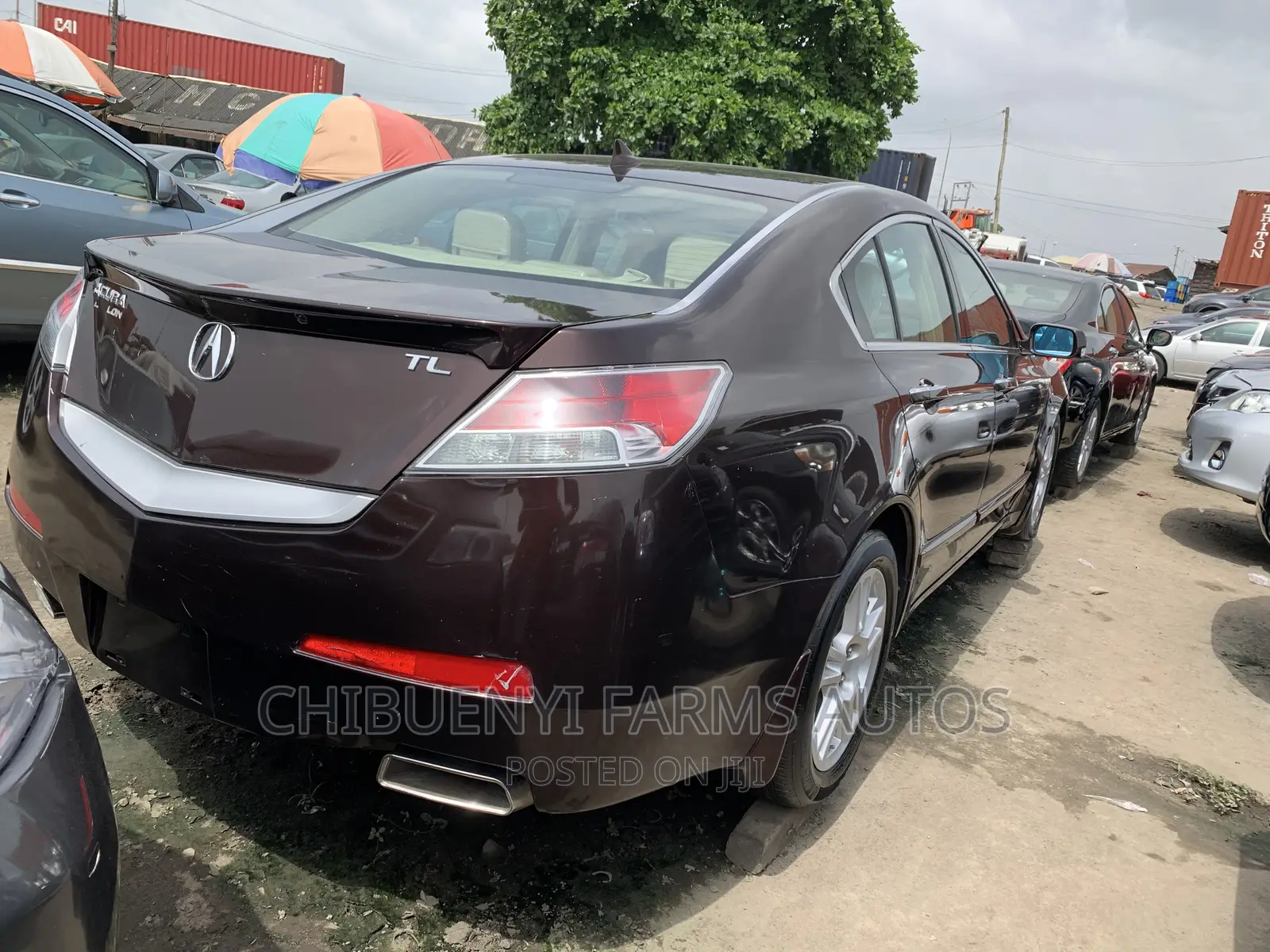Acura TL SH-AWD 2010 Brown