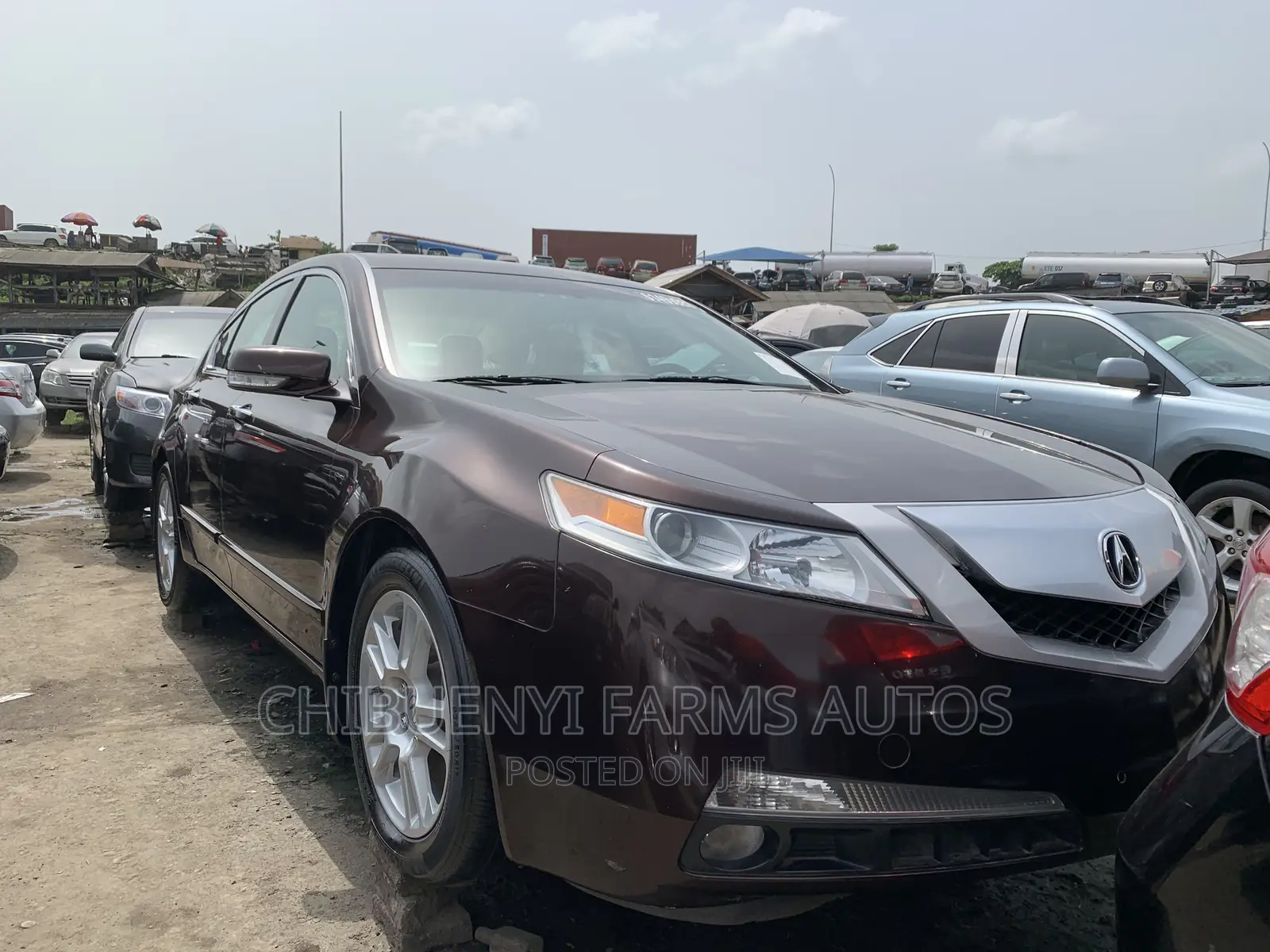 Acura TL SH-AWD 2010 Brown