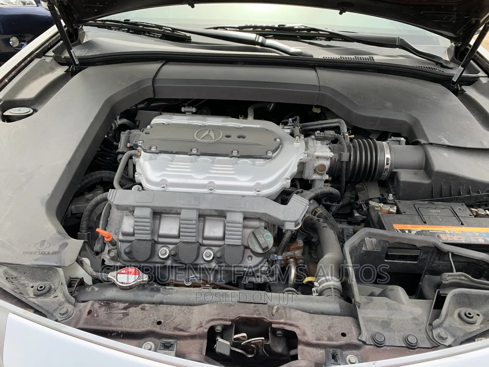 Acura TL SH-AWD 2010 Brown