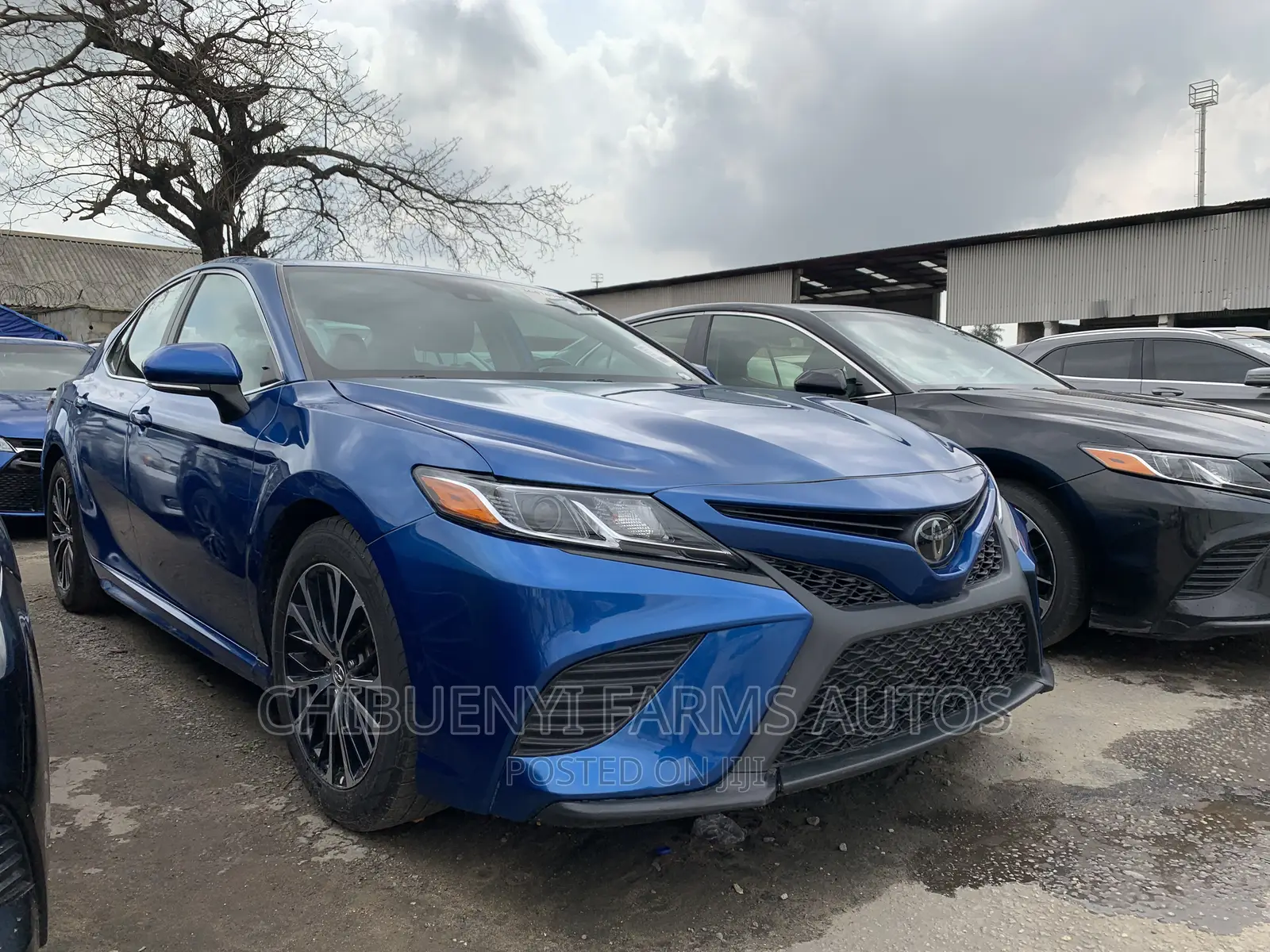 Toyota Camry SE (2.5L 4cyl 8A) 2019 Blue