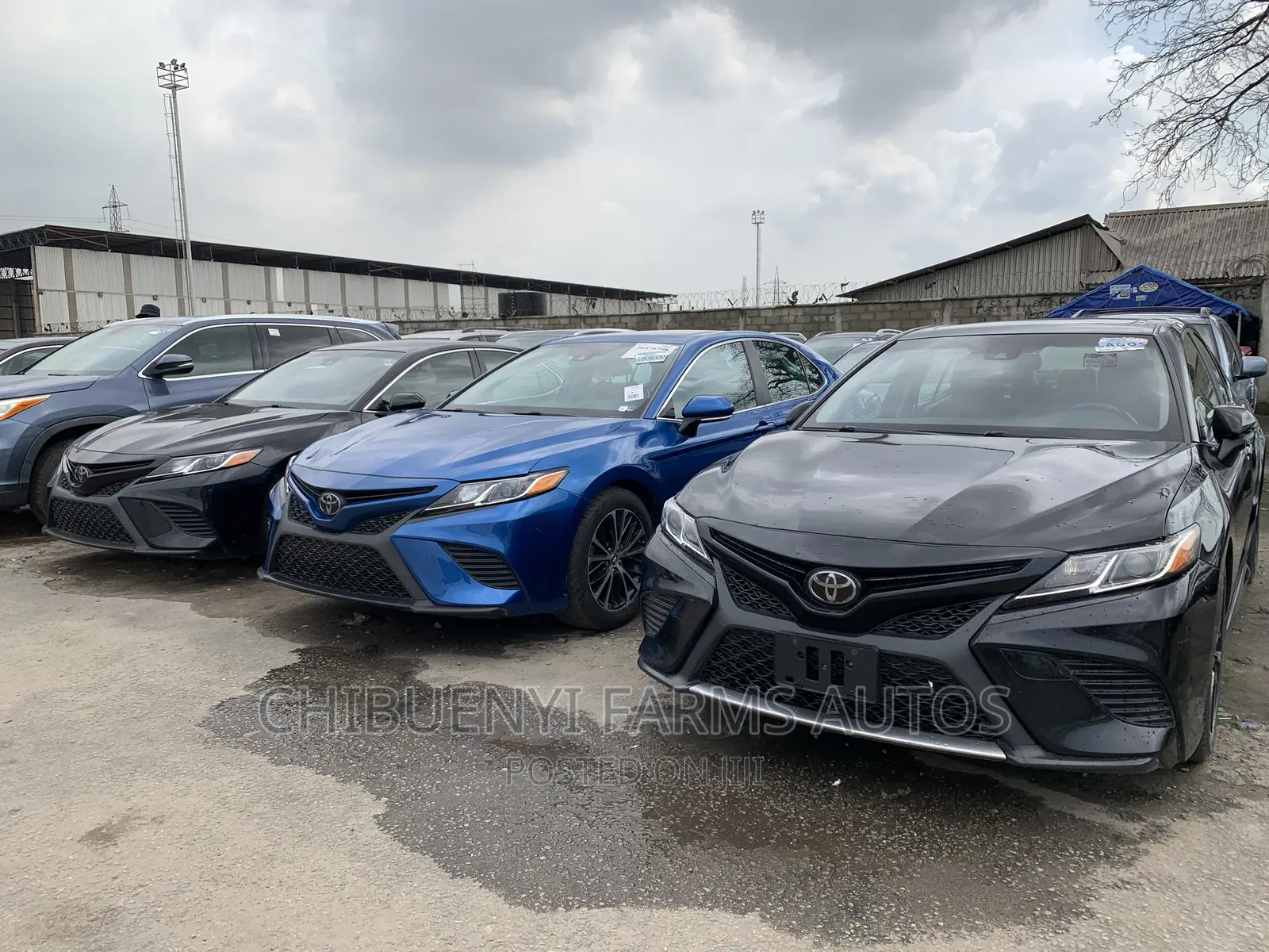 Toyota Camry SE (2.5L 4cyl 8A) 2019 Blue