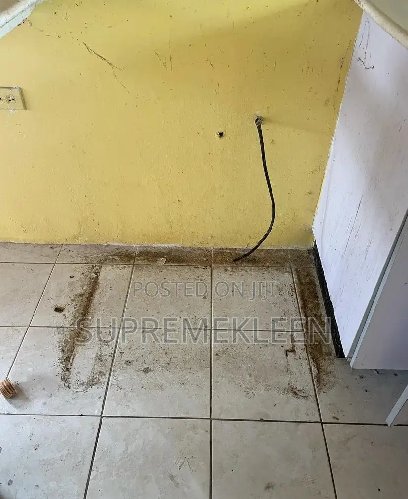 Contact Us for Thorough Cleaning Service