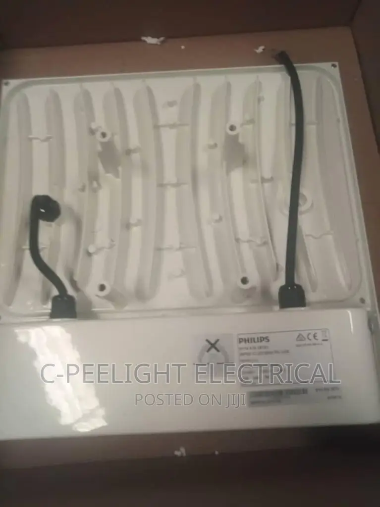Original LED Philips Canopy Light