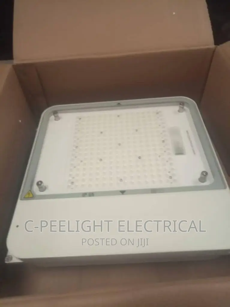 Original LED Philips Canopy Light