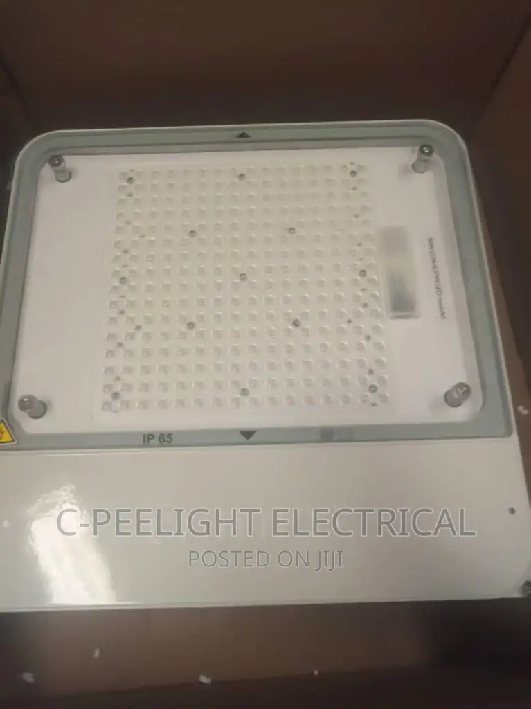Original LED Philips Canopy Light